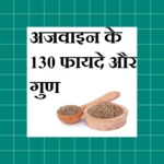 Logo of Ajwain Ke 130 Fayde or Gun android Application 